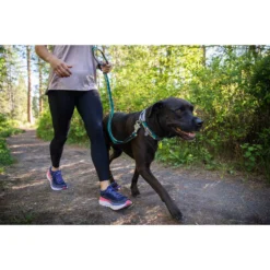 Ruffwear Web Reaction Dog Collar -Ruffwear ruffwear web reaction dog collar 13