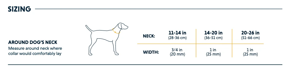 Ruffwear Crag™ Collar - Granite Gray 3 Ruffwear Crag™ Collar - Granite Gray - Image 3