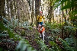 Ruffwear - Overcoat Fuse™ Jacket Canyonlands Orange -Ruffwear web 0515 overcoat fuse canyonlands orange hiking 09