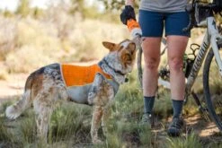 Ruffwear - Jet Stream™ Dog Cooling Vest - Salamander Orange -Ruffwear web 0545 jet stream salamander orange horse butte biking 49