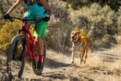 Ruffwear - Jet Stream™ Dog Cooling Vest - Salamander Orange -Ruffwear web 0545 jet stream salamander orange mountain biking