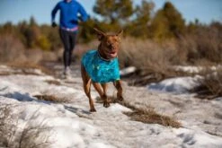 Ruffwear - Climate Changer Dog Fleece Jacket - Glacier -Ruffwear web 05503 climate changer glacier trail running 15 640x 8afc98ff 5459 4d08 bd32 6a9b4200b60e