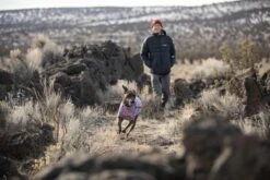 Ruffwear - Climate Changer Dog Fleece Jacket - Blossom -Ruffwear web 05505 climate changer blossum hiking 640x 6986b5d3 965f 4cf1 b235 01913319818b