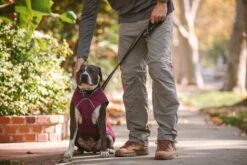 Ruffwear - Stumptown Jacket - Larkspur Purple -Ruffwear web 0595 stumptown larkspur purple sacramento walking 06 640x 7356d250 b133 4259 8c5d f3b9952ee9e2