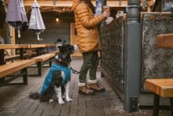 Ruffwear - Stumptown Jacket - Metolius Blue -Ruffwear web 0595 stumptown metolius blue winter town 05 1 640x d1f690a5 ed44 49f4 8348 9b7eb7e359a0