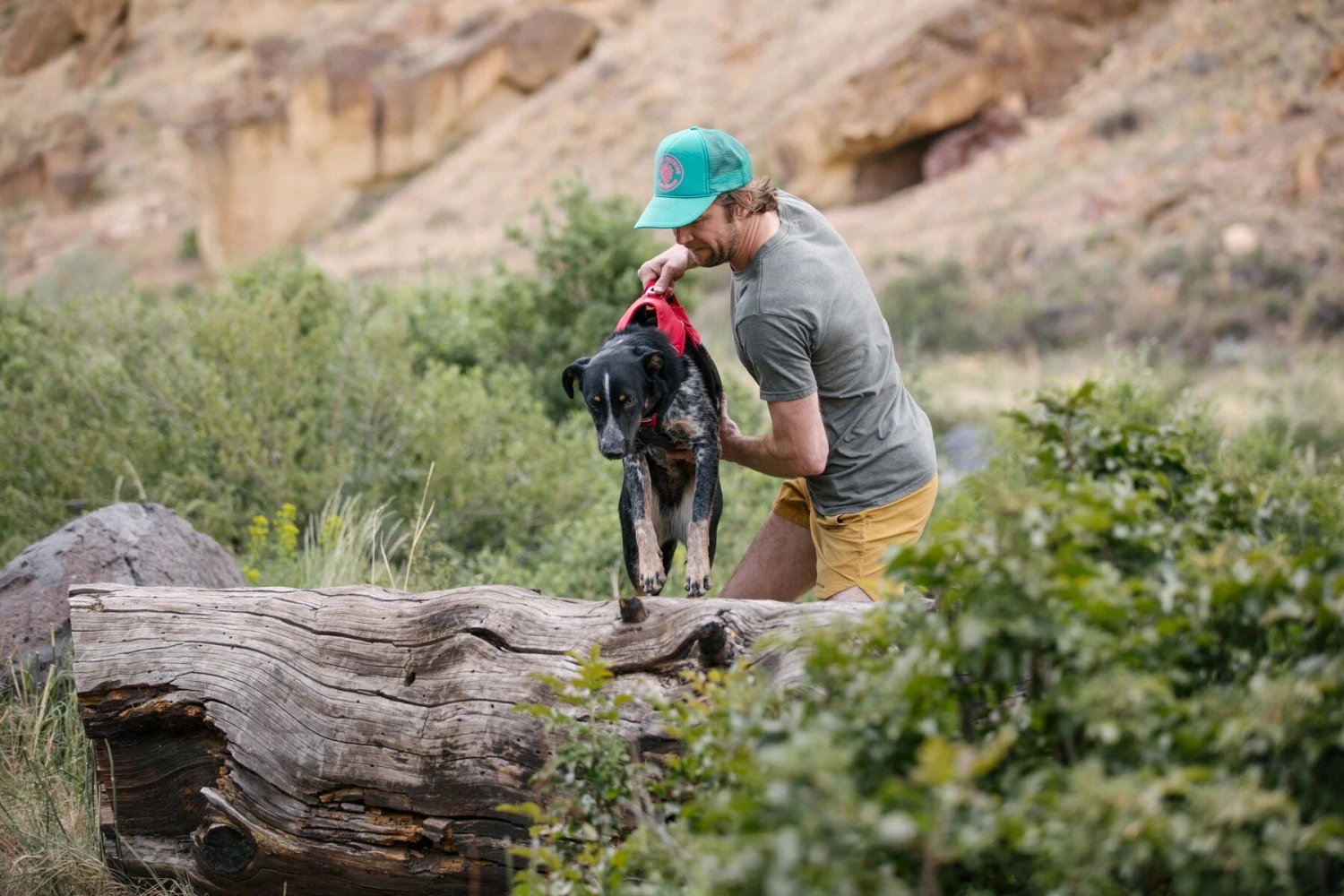 Ruffwear - Web Master Dog Harness - Red 5 Ruffwear - Web Master Dog Harness - Red - Image 5
