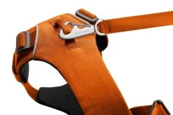 Ruffwear Front Range™ Harness - Campfire Orange 9 Ruffwear Front Range™ Harness - Campfire Orange -Ruffwear web 30502 front range harness campfire orange chest attachment connection