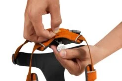 Ruffwear Front Range™ Harness - Campfire Orange 10 Ruffwear Front Range™ Harness - Campfire Orange -Ruffwear web 30502 front range harness campfire orange id tag