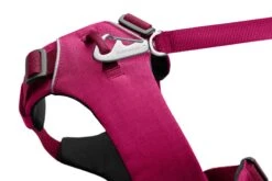 Ruffwear Front Range™ Harness - Hibiscus Pink -Ruffwear web 30502 front range harness hibiscus pink chest attachment connection