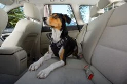 Ruffwear - Load Up Dog Car Seat Belt Harness - Obsidian Black -Ruffwear web 3060 load up harness obsidian black 02