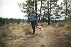 Ruffwear - Hi & Light Harness - Sockeye Red -Ruffwear web 3082 hi light harness sockeye red trail running 01 640x 8212f5c6 fd0f 41ab b5cb 6c34a68cdf9a