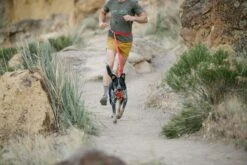 Ruffwear - Roamer™ Dog Lead - Red Currant -Ruffwear web 40354 roamer leash red currant trail running 01