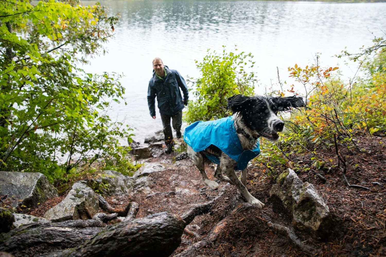 Ruffwear - Sun Shower™ Rain Jacket - Blue Dusk 6 Ruffwear - Sun Shower™ Rain Jacket - Blue Dusk - Image 6