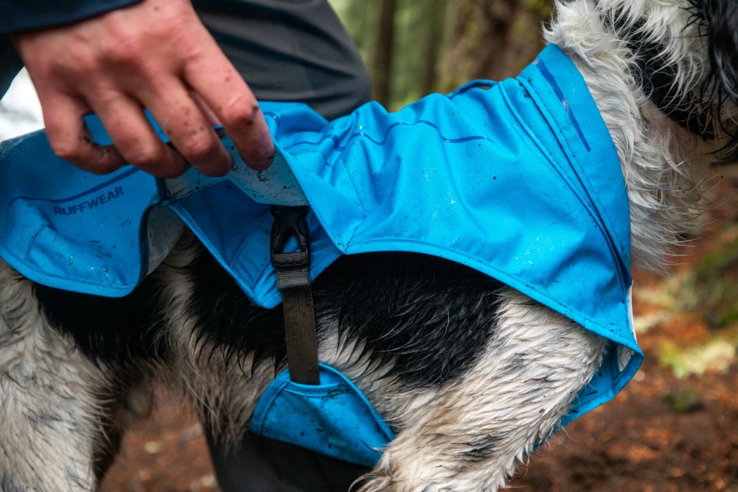 Ruffwear - Sun Shower™ Rain Jacket - Blue Dusk 7 Ruffwear - Sun Shower™ Rain Jacket - Blue Dusk - Image 7