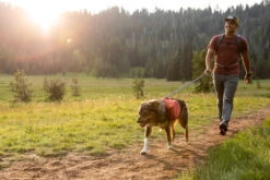 Ruffwear - Switchbak Lead Granite Gray -Ruffwear webimage 54c3c97b 2a1b 4253 a2f0 f81ab684c186