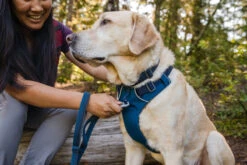 Ruffwear - Front Range Harness Blue Moon -Ruffwear webimage 60920609 1805 4799 af8fb0b4d0adf41f