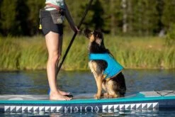 Ruffwear - Float Coat™ - Dog Life Jacket - Blue Dusk -Ruffwear webjpg 45103 float coat blue dusk hosmer lake lennon print 178 640x d682ce5a f779 4e52 b880 25c212ce8053